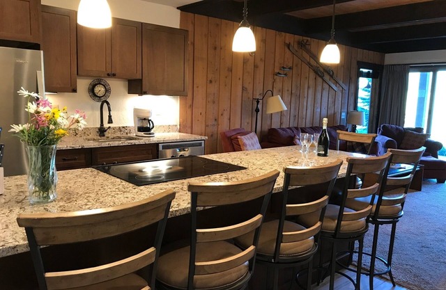 Remodeled ski in/ski out condo in Mt Crested Butte with incredible views!