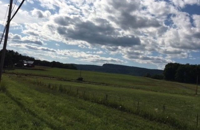 Renee's Get-Away New Paltz