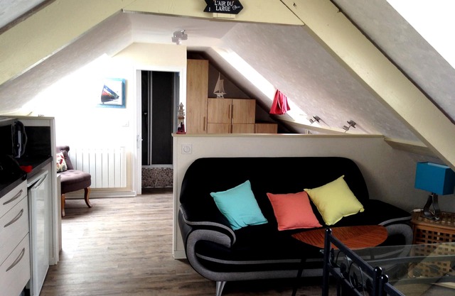 Renovated 38 m2 studio, facing the sea