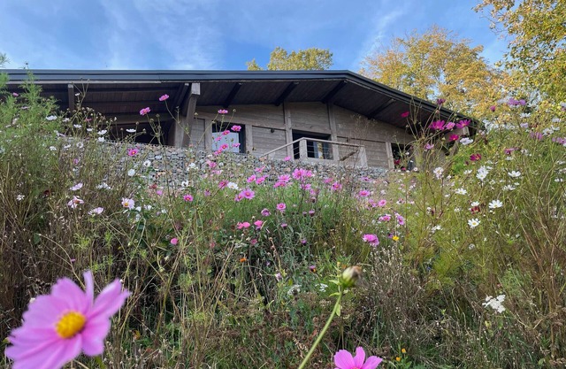 Renovated chalet with sauna, near Gérardmer
