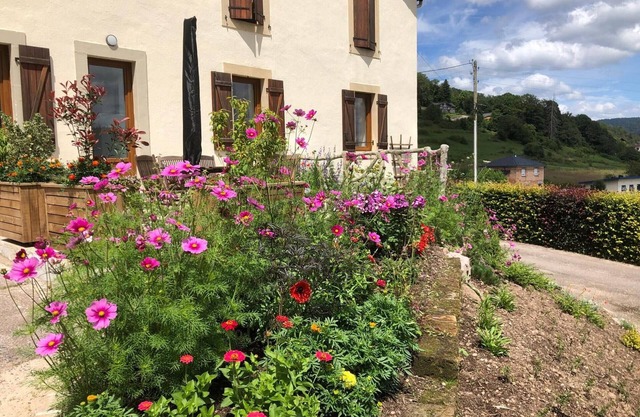 Renovated house near Vosges, ideal for outdoor activities
