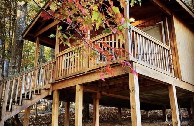 Rental Cabin - Back of the Dragon