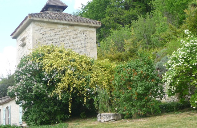 Rest & tranquility for 9 or 13 people
