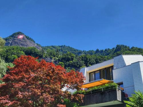 Rigi Paradise in Vitznau, Lake access, Ferry Terminal, Rigibahn, Restaurants all 2 minutes walking distance