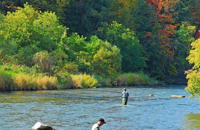 RIVER FRONT, 1-Acre, Hot Tub, NEW Home, NEAR UNIVERSITY and GREEN BLUFF