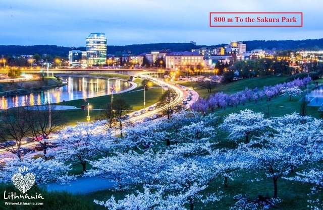 River to the City - Studio 8 apartment