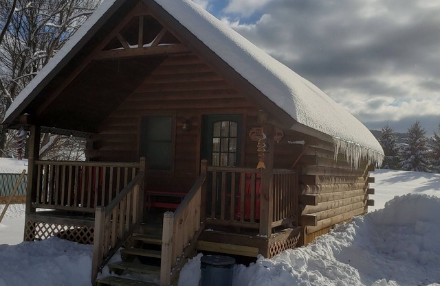 Riverfront Cabin West Branch Delaware River