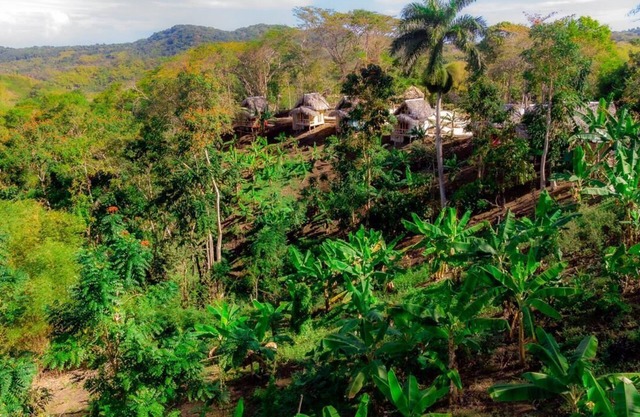 Romantic Cottages in Jamaican Hills w/hiking trails and Fruit trees on property