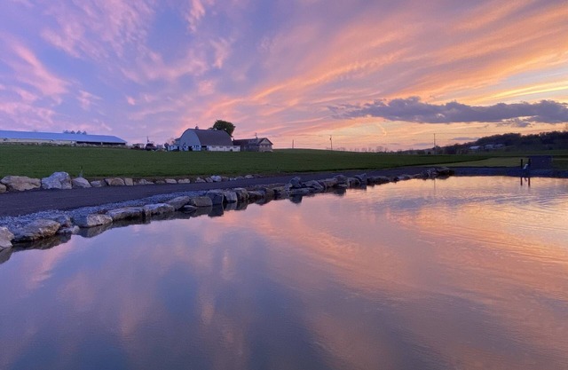 ❤️ Romantic Couples Retreat in the country❤️Farm Stay