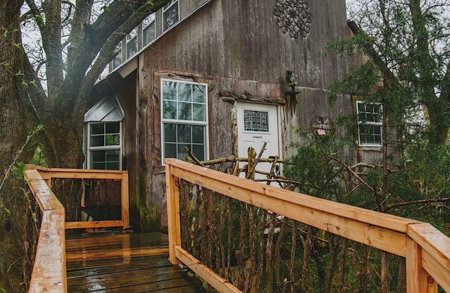 Romantic getaway in the trees. Enjoy your stay in a majestic oak treehouse