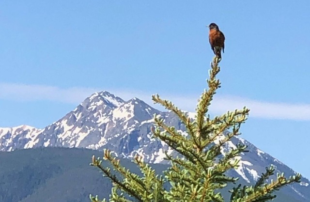 Romantic Retreat for Two: Make A Montana Memory!