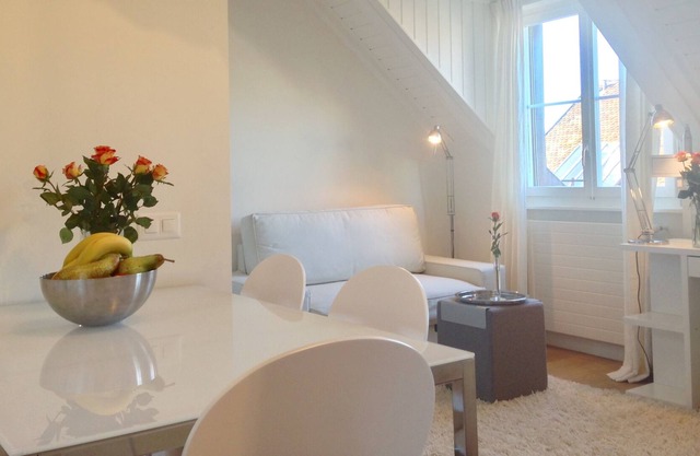 Roof Top Apartment in the Heart of Vieux Carouge, Geneva's fanciest neighborhood
