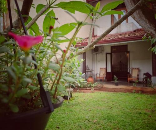 Room by the MANGO TREE
