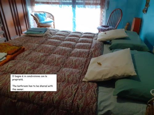 Room country-lake