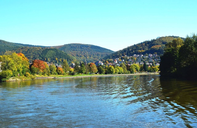 ROSENTURMBLICK - centrally located, furnished apartment for temporary rental