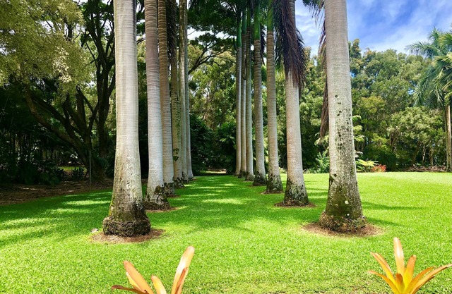 Royal Palm Cottage/5 mins from beach/Akaka Falls/Private Lanai