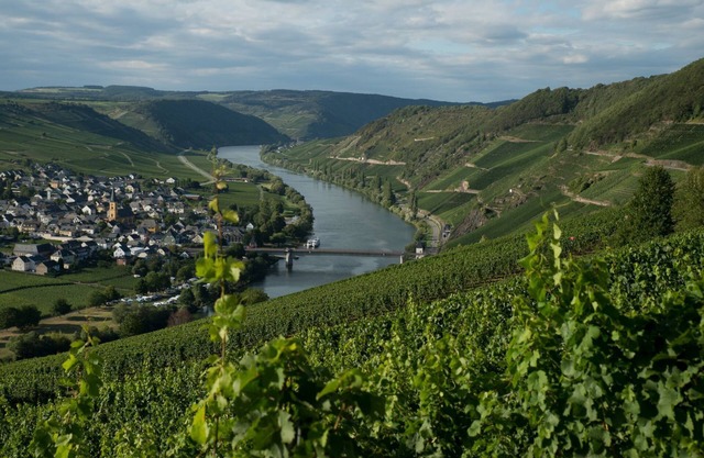 Ruhig Gelegenes Ferienhaus mit Sauna Direkt an der Mosel