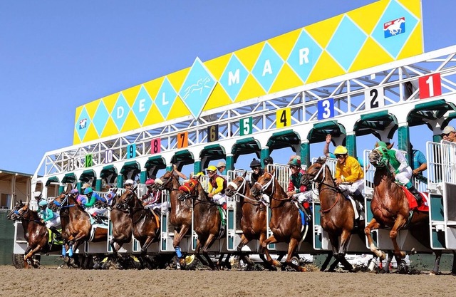 Run to Del Mar for Breeders Cup! Spacious, fully equipped one-bedroom condo!