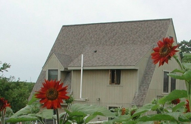 Rural Driftless Region Stay with Pastoral View