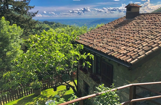 RUSTIC BELLAVISTA