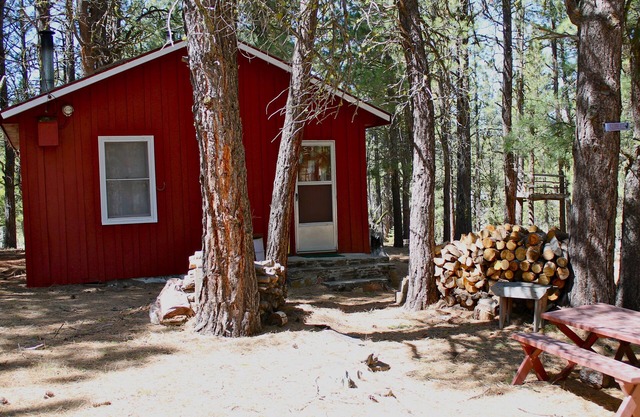 Rustic Cabin-"Squirrelville"