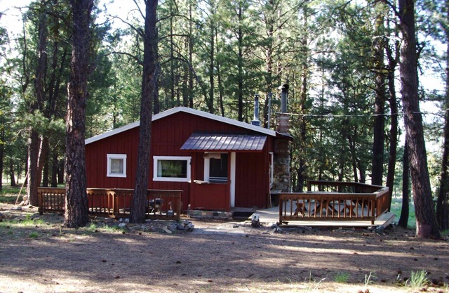 Rustic Cabin- "Whitetail"