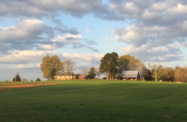 Rustic Country Farmhouse Morrow Mountain State Park View