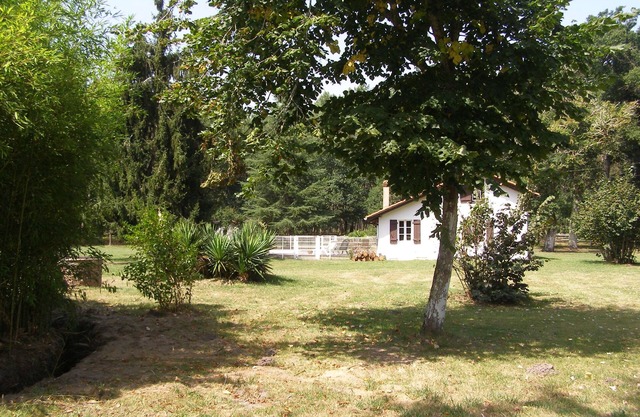 Rustic house with swimming pool in the heart of the Landes countryside