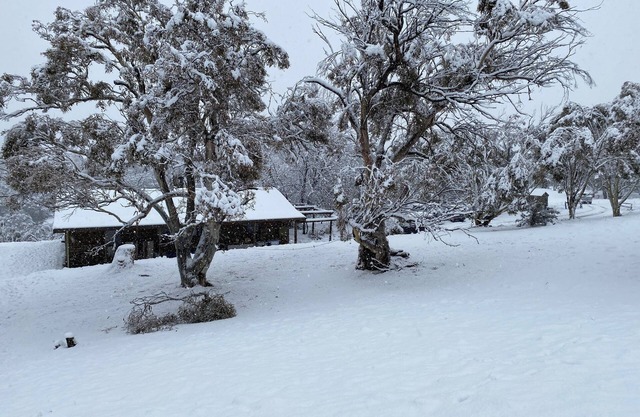 Rustic Log Cabin on 100 acres in the heart of the Snowy Mountains