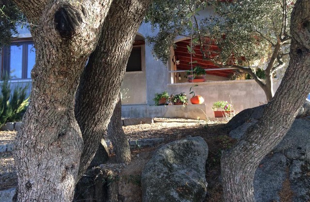 S'umbra de S'ozzastru