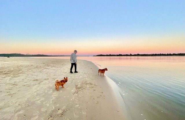 Salt - Relaxed Coastal Vibes, Bay Views, Dog Friendly 🐾