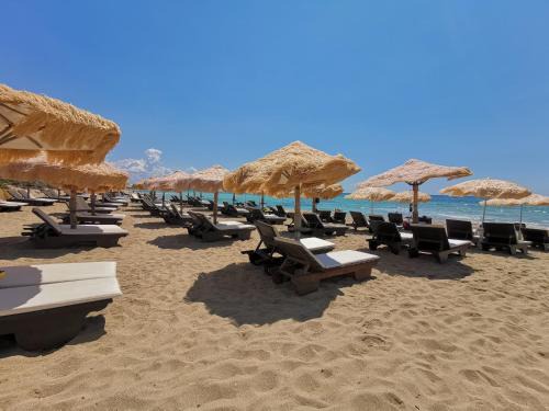 Samanà B&B con Spiaggia Privata a Punta Prosciutto