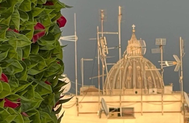 SAN Peter Vatican City Stellasia Casa Vacanza