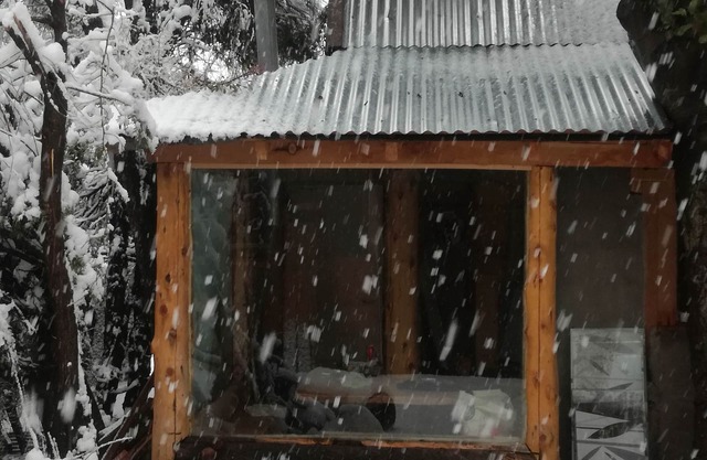 Sarah's cabin