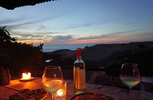 SARDAGNE SAUVAGE - VIEW OF THE DUNES AND THE SEA AT 600M