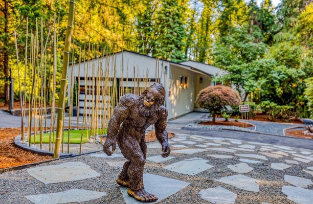 Sasquatch and Bigfoot