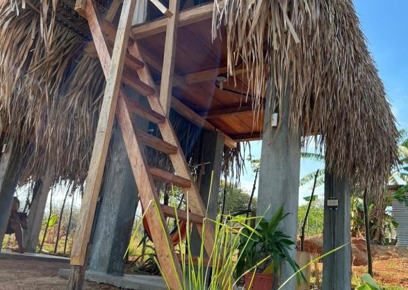Sasy tipis