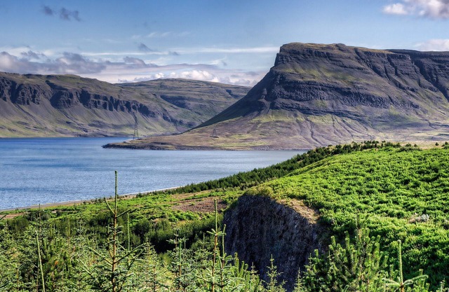 Scenic farmhouse in Hvalfjörður