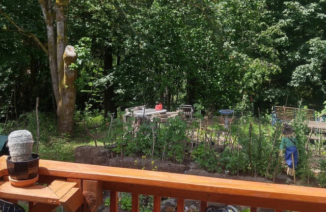 Scott Creek Farm: 2 Acre Sustainable Farm With Forest, Creek, And Nature Park.
