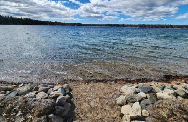 Screech Owl Lodge! Lake Front, close to trails and ready for your stay!