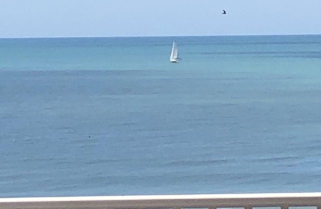 Sea La Vie at San Remo