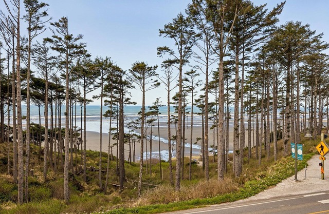 Seabrook's King Tide: Ocean Views, Private Hot Tub, Dogs Welcome!