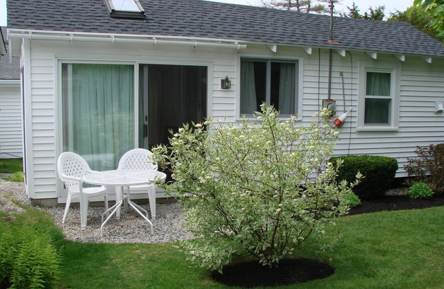 Seafarer Cottage with Ocean View & salt water pool! 2 August weeks open!