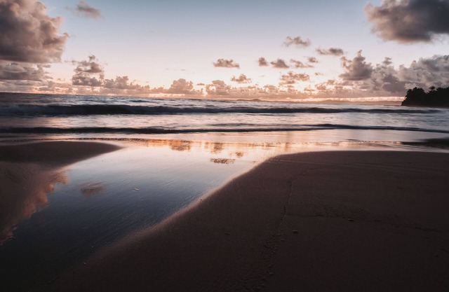 Seaside Apt Steps to Breathtaking Sunrise and Beautiful Playa Azul in Luquillo