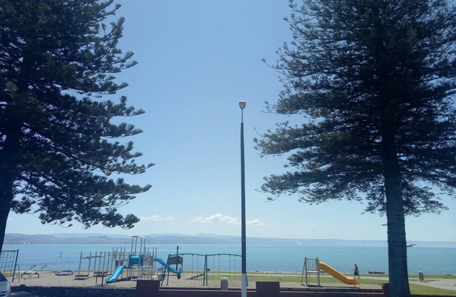 Seaside Cottages in Ahuriri