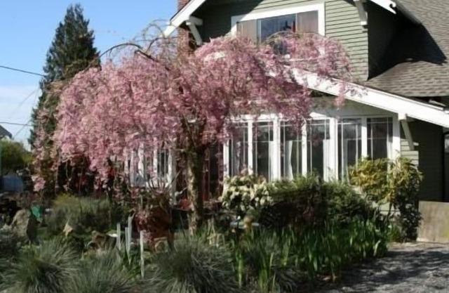 Seattle at its Best - the Premiere Walking Neighborhood!