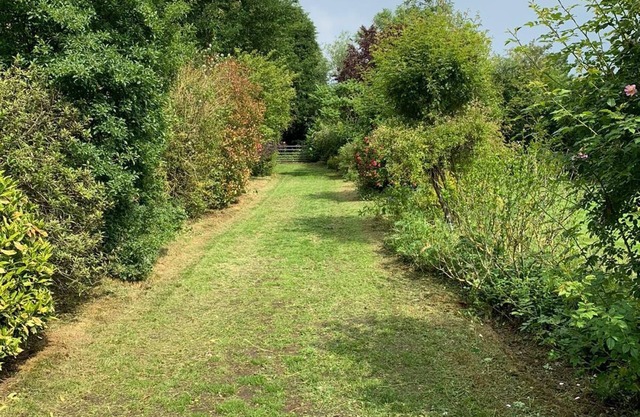 Secluded 4 bed bungalow in mature 1 acre gardens with b close to Sherwood Forest