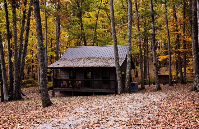 Secluded cabin located in Amish country