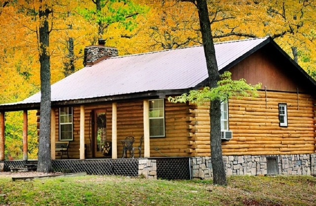 Secluded Charming Cabin in the woods, dog friendly, stone fireplace, jucuzzi tub