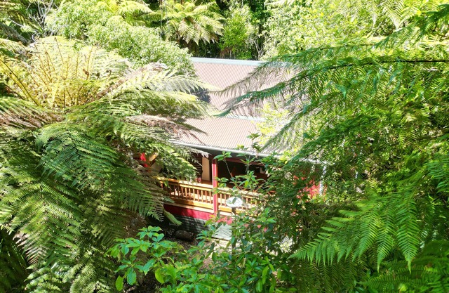 Secluded forest Retreat, Paradise Valley, Rotorua.
